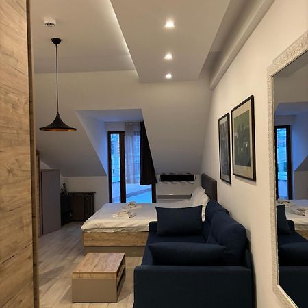 Kopaonik Apartmani Milmari - Katic 外观 照片