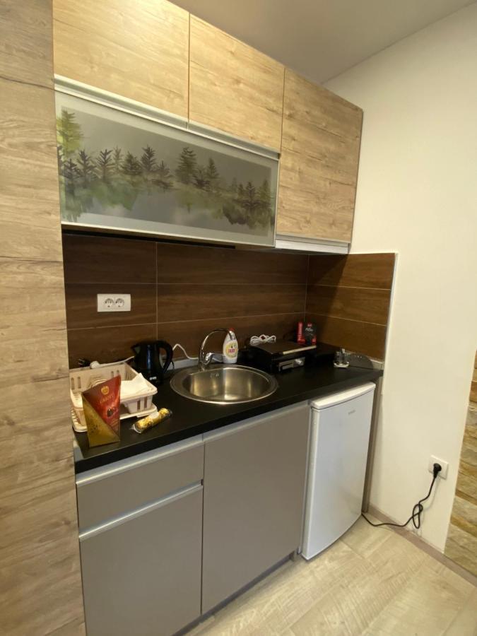 Kopaonik Apartmani Milmari - Katic 外观 照片