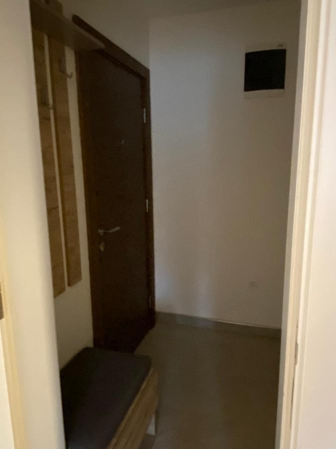 Kopaonik Apartmani Milmari - Katic 外观 照片