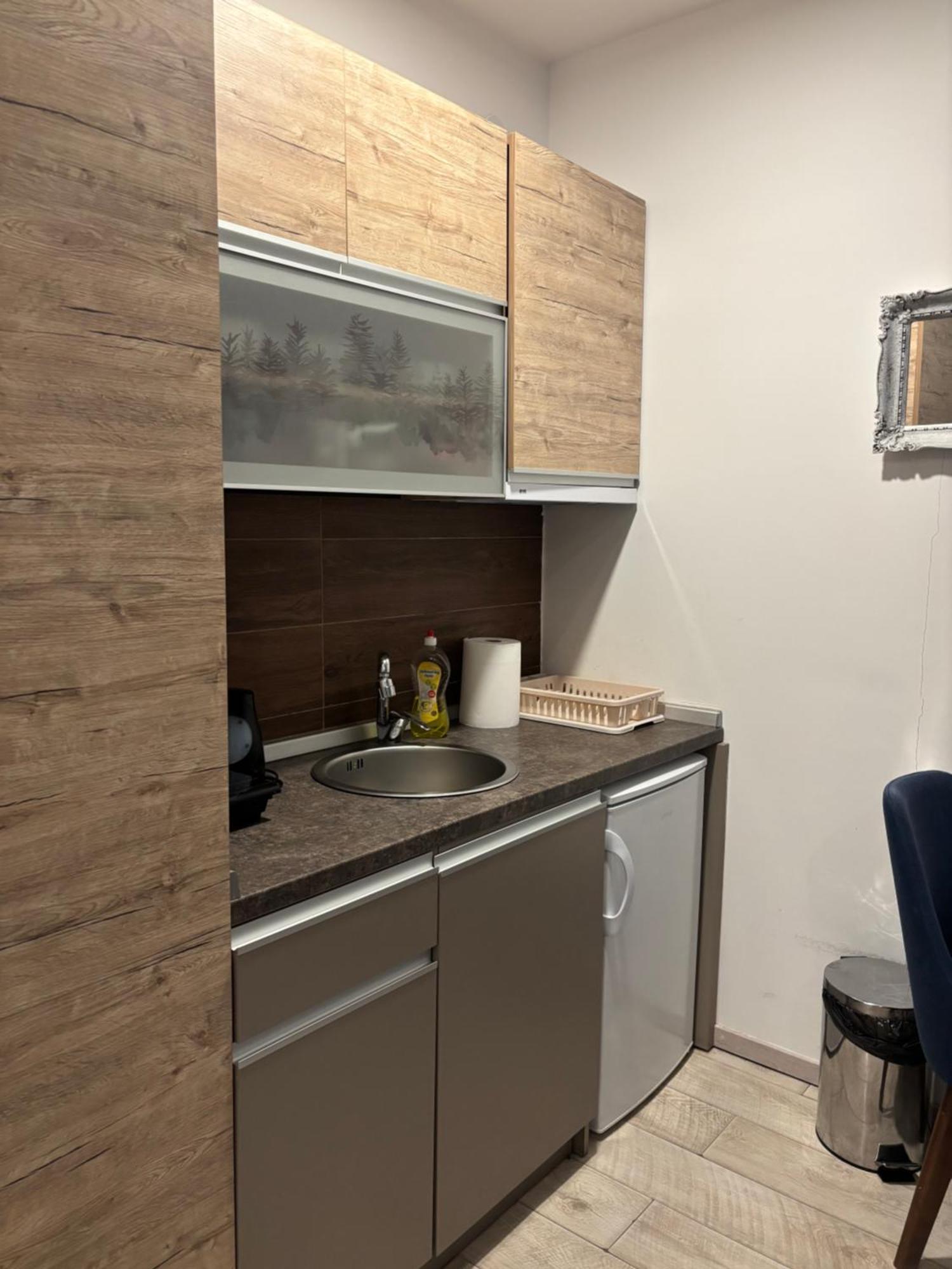 Kopaonik Apartmani Milmari - Katic 外观 照片